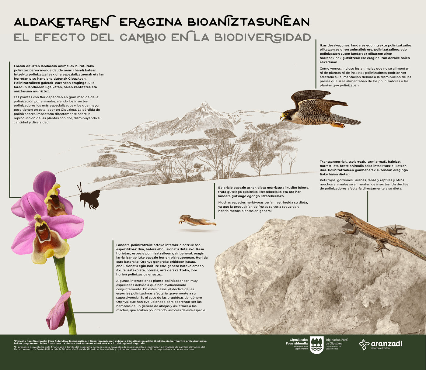 3.ERAGINA_BIOANIZTASUNA-min