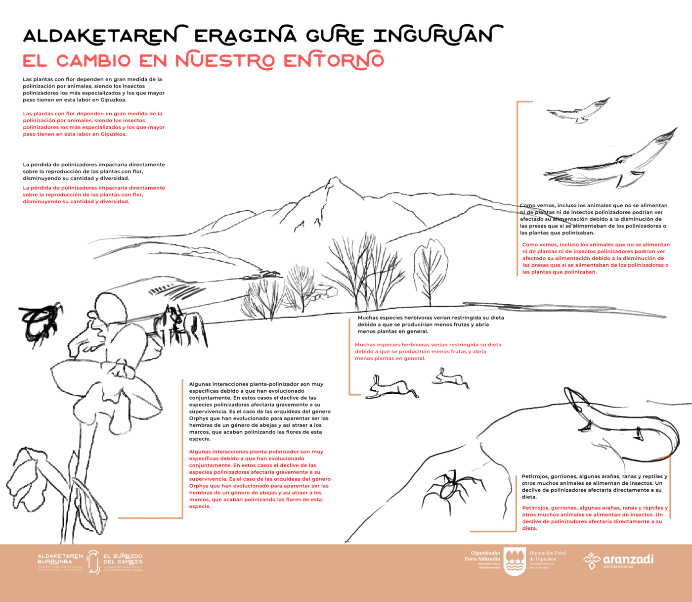 3.MAKETA_BOZETO_biodiversidad-min