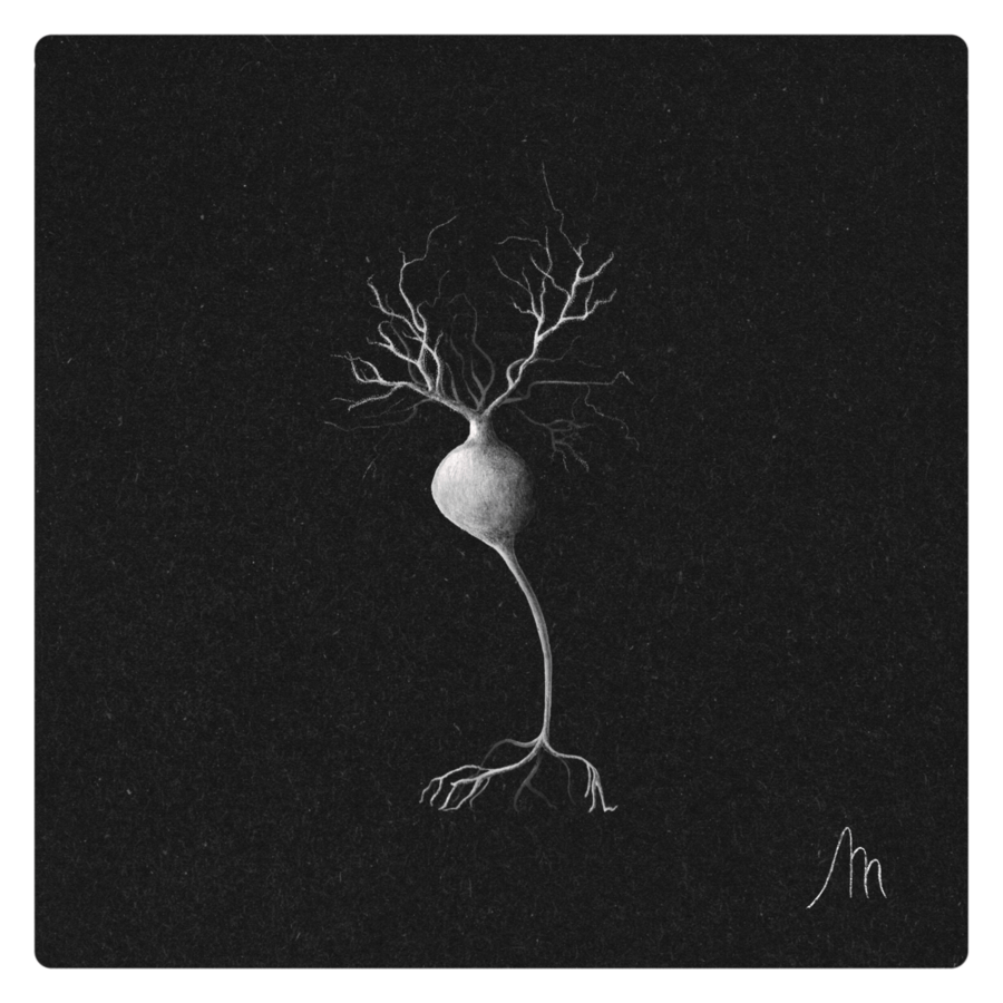 NEURONA BIPOLAR-min