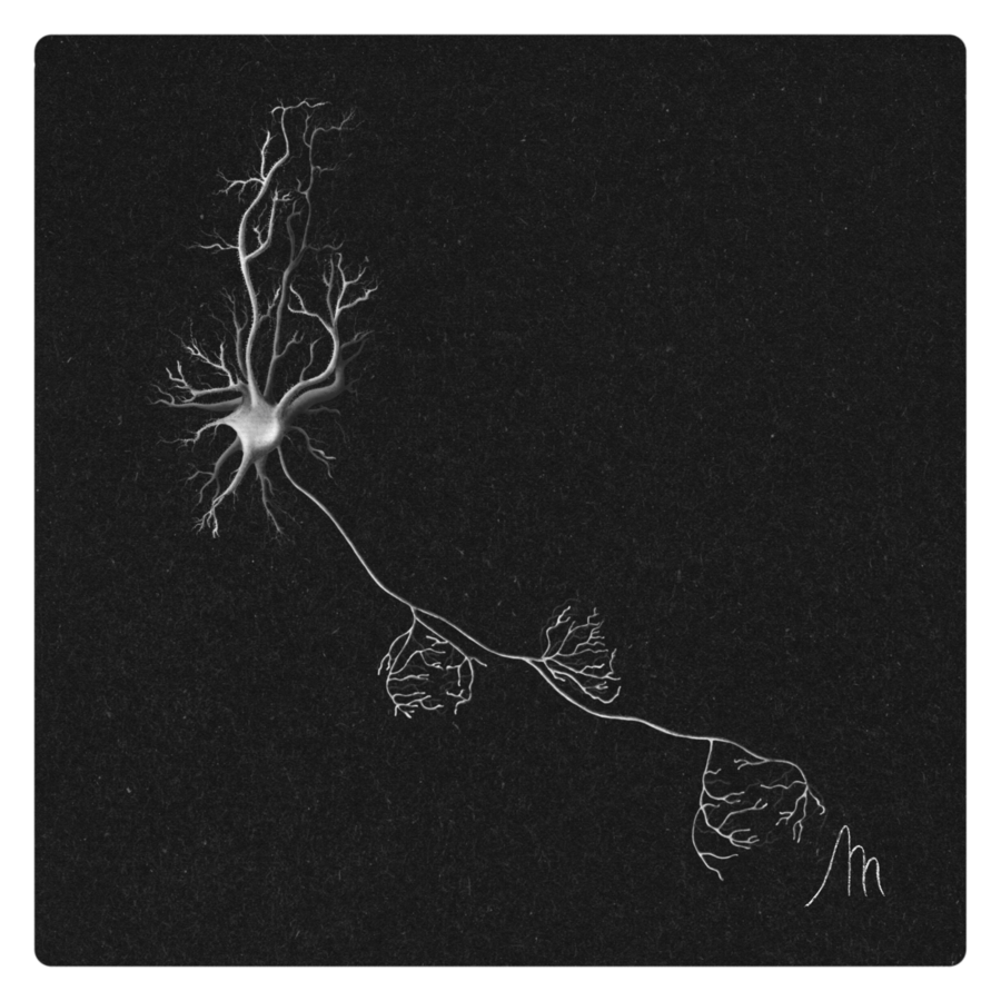 NEURONA EN CESTA-min
