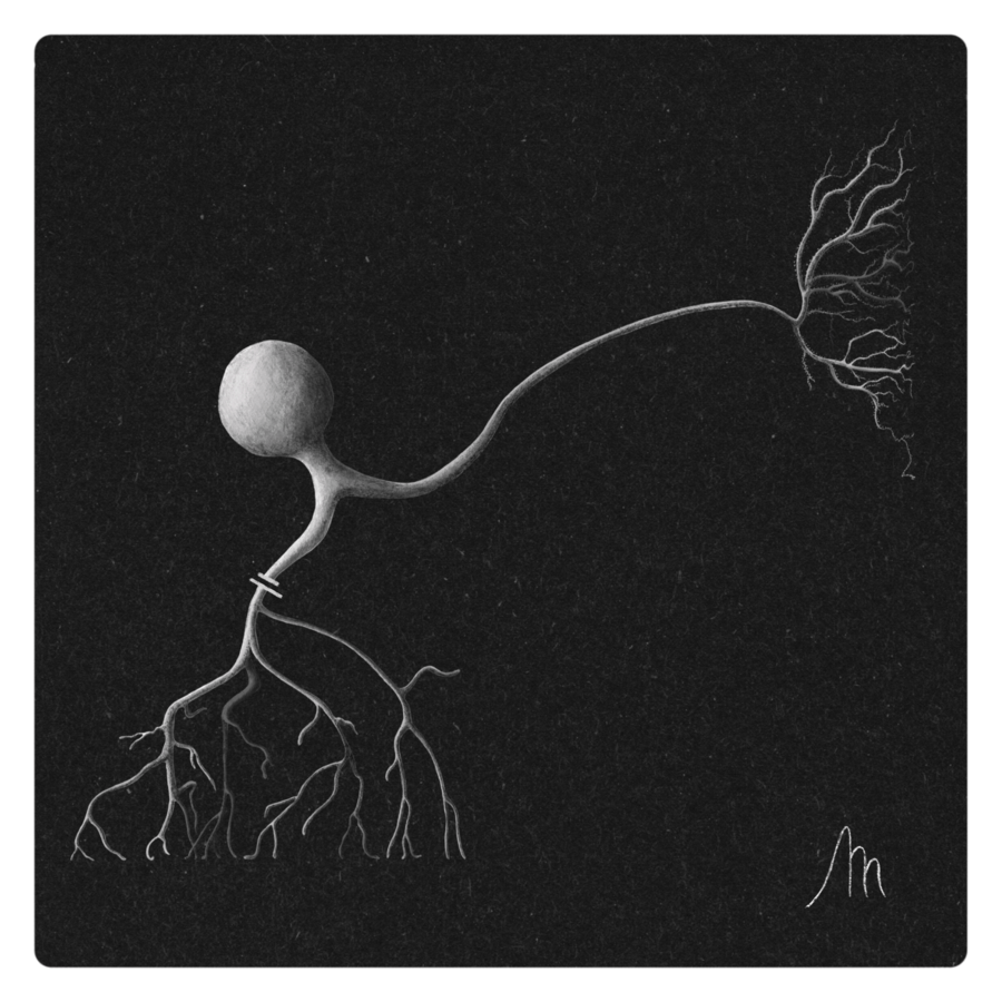 NEURONA PSEUDOUNIPOLAR-min