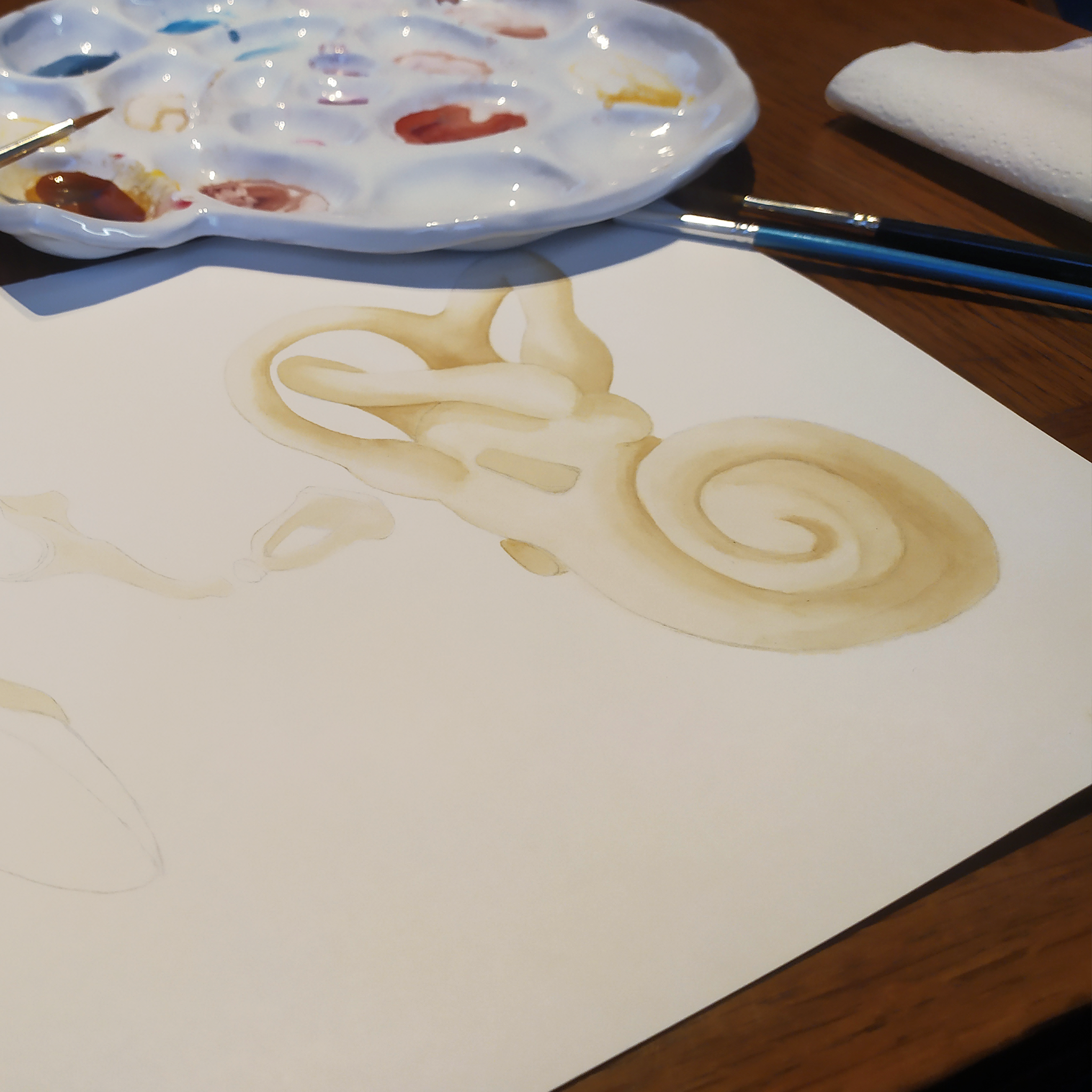 PROCESO