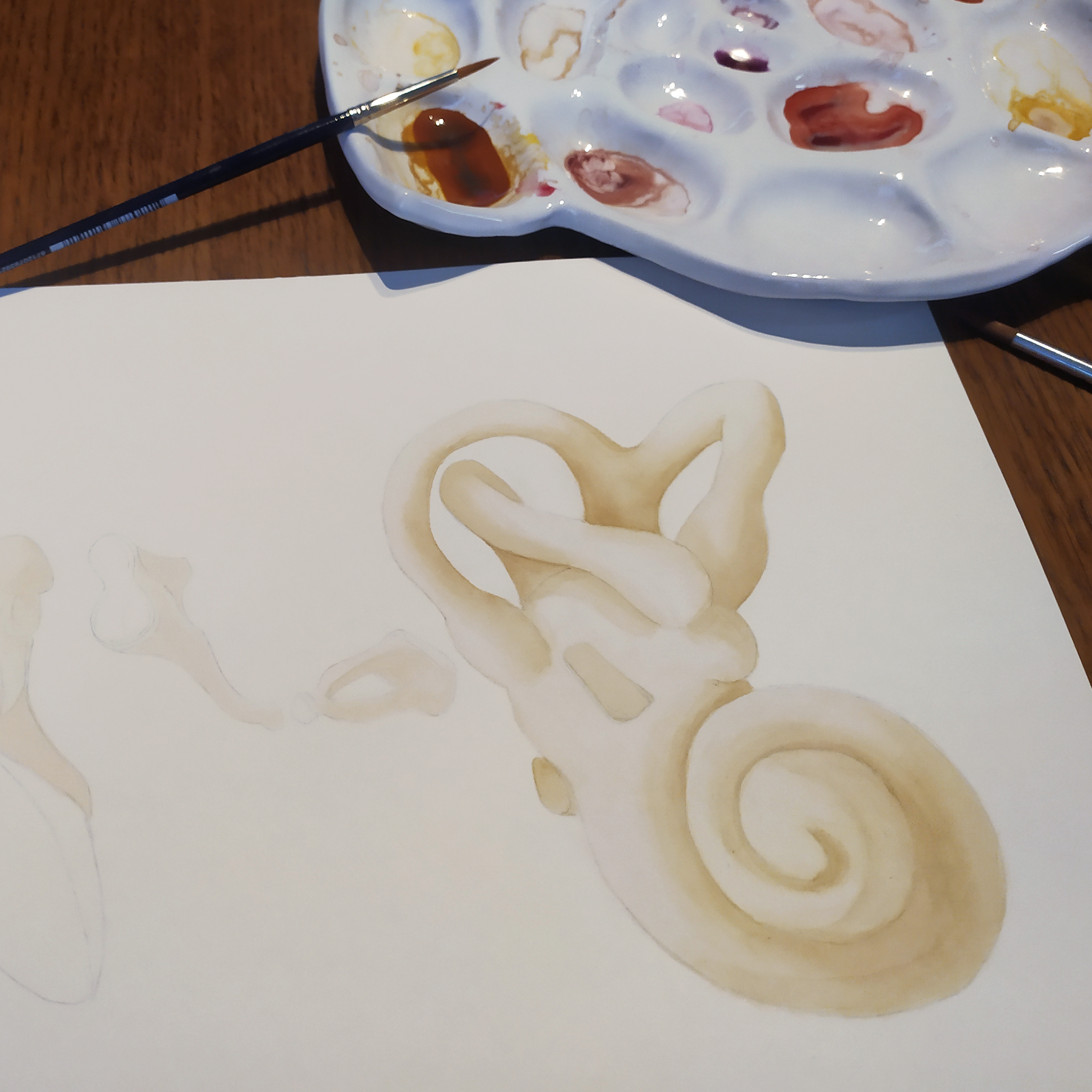 PROCESO2